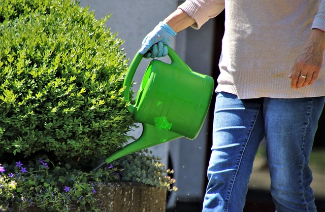 Ontdek de groene wereld van hoveniersbedrijf in Dronten